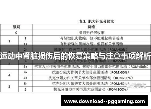 运动中肾脏损伤后的恢复策略与注意事项解析